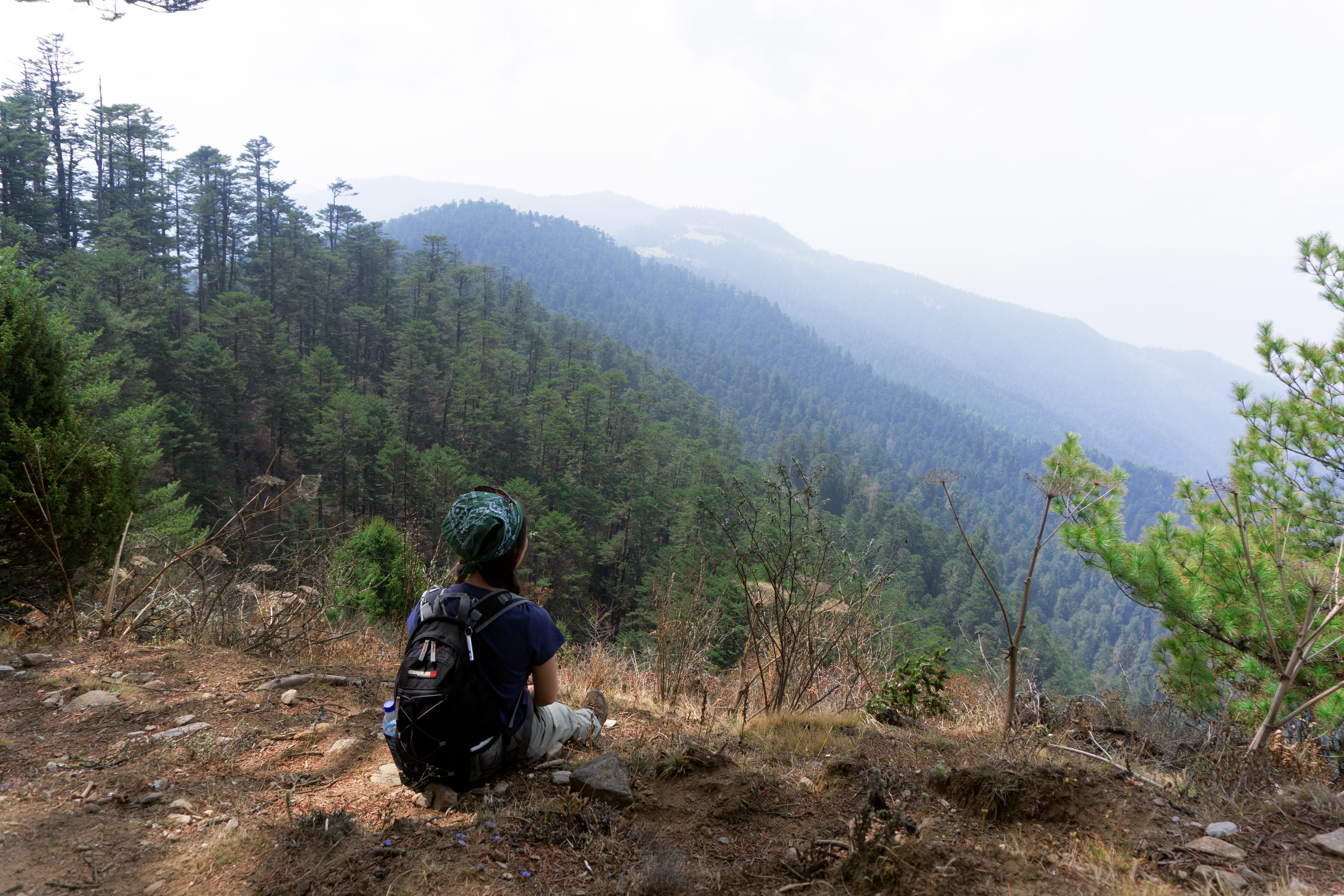 Druk Path Trek — alpine trail