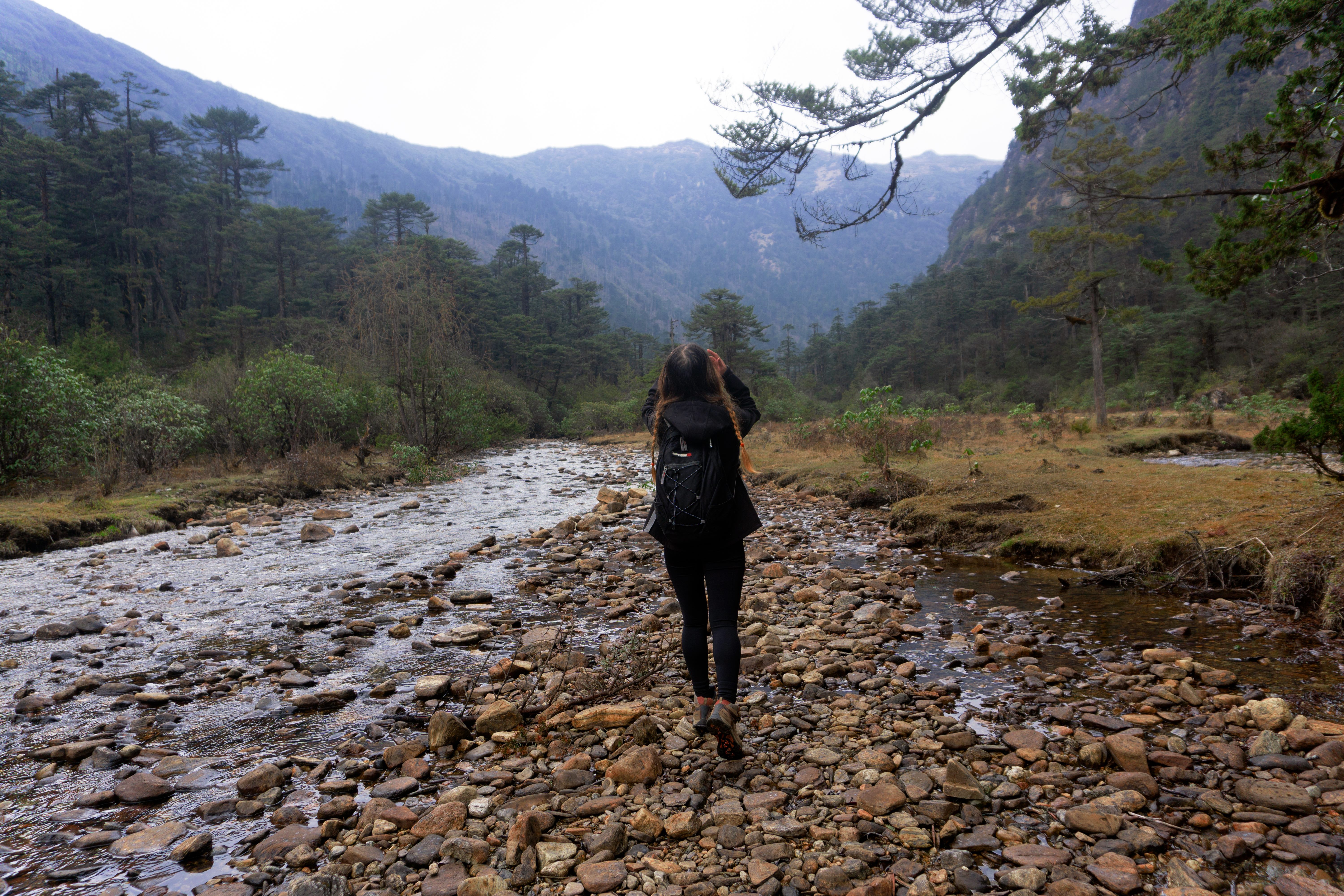 Druk Path Trek — Himalayan panorama