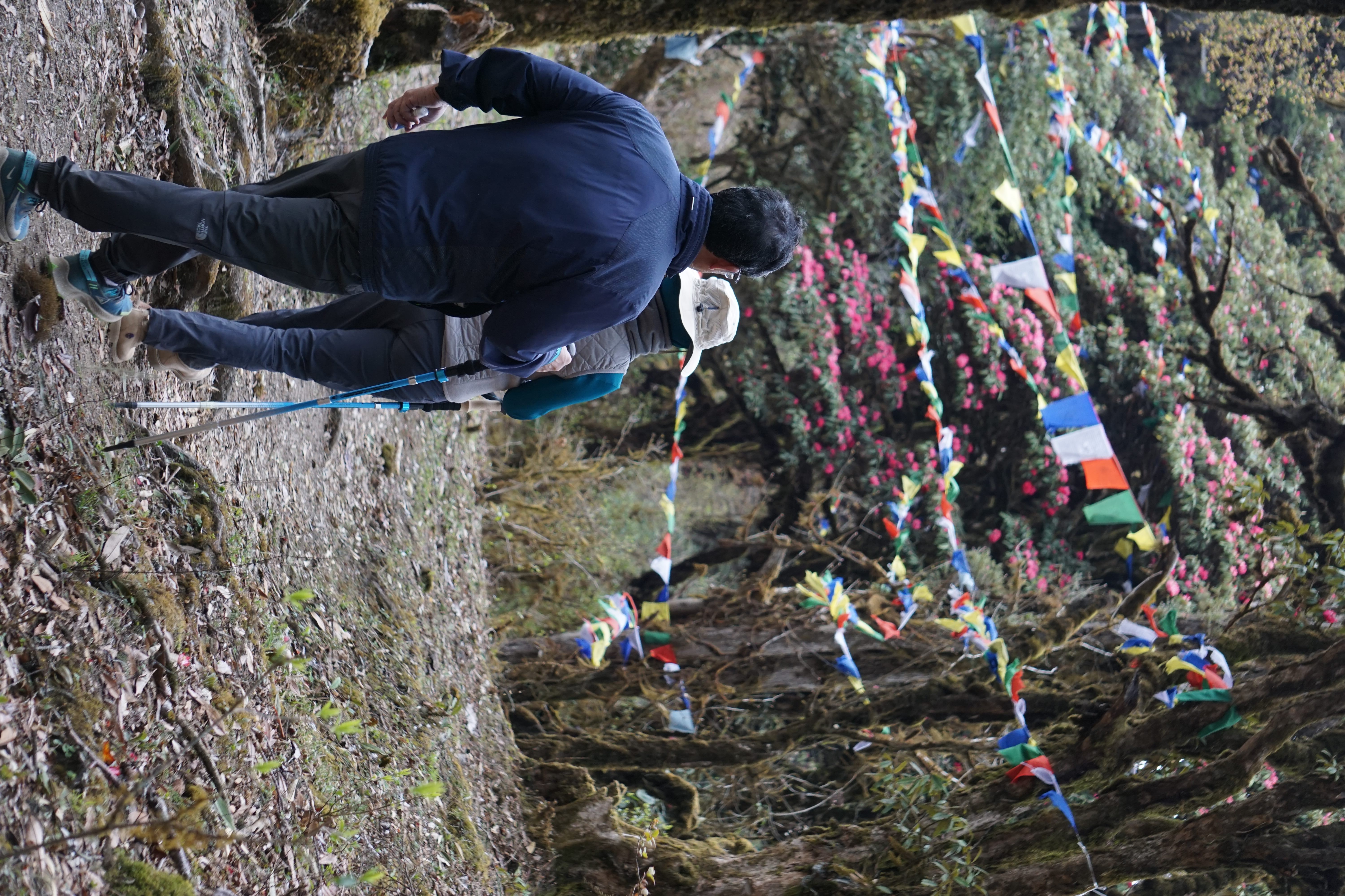 Forest bathing in Bhutan