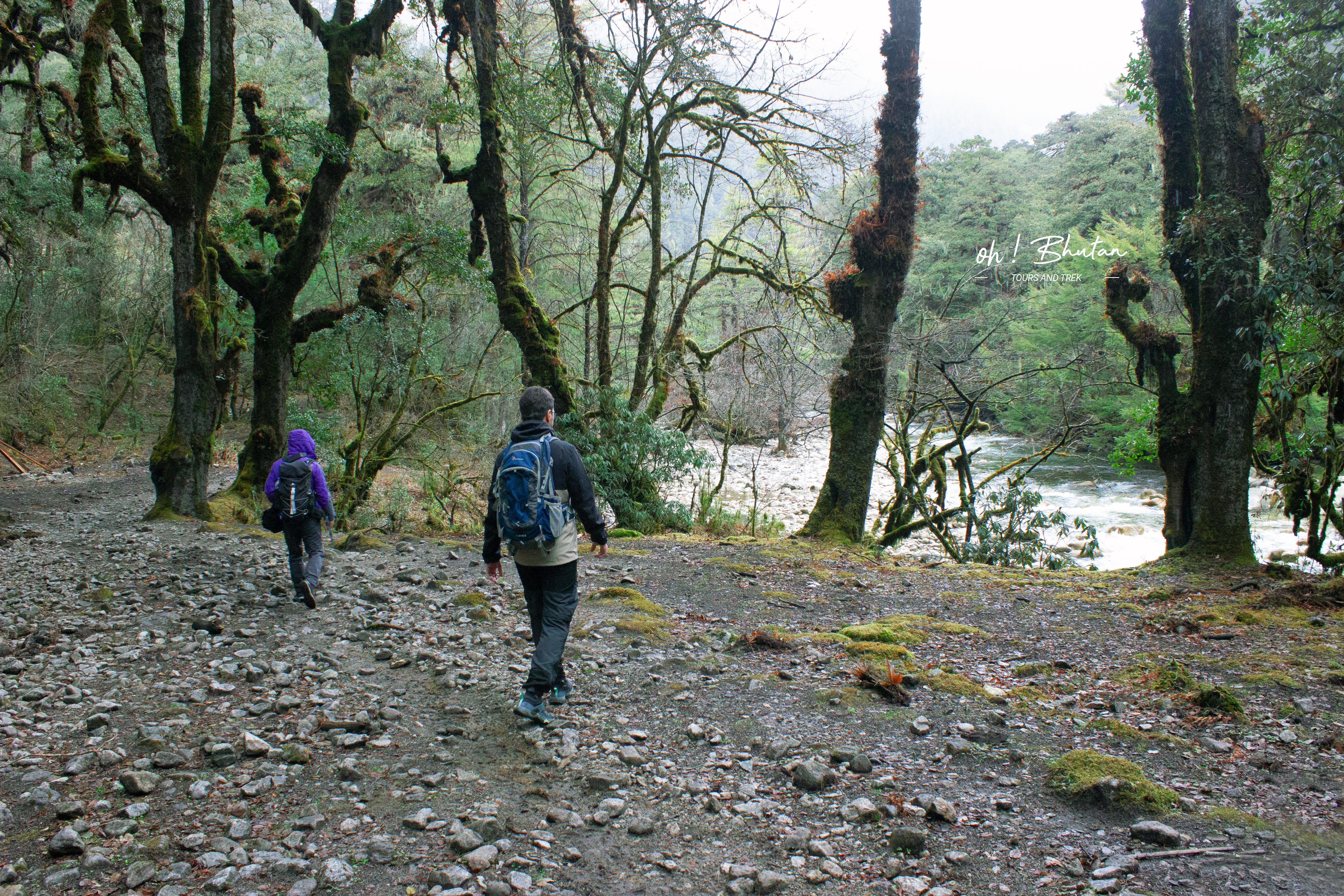 Jomolhari Trek — river trail