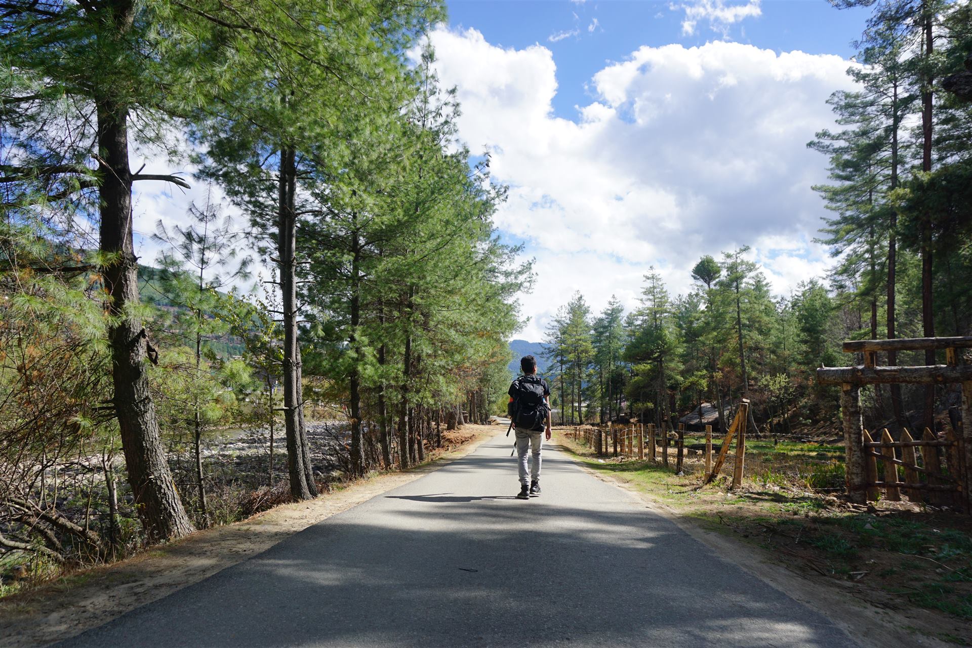 Bhutan landscape