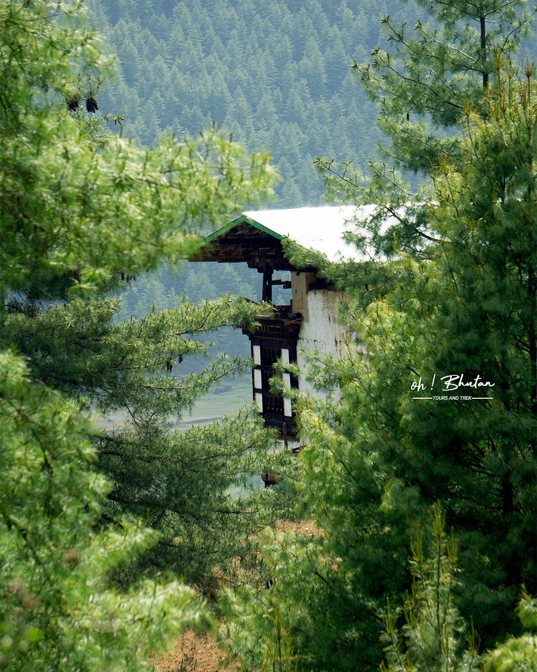Farm visit Bhutan